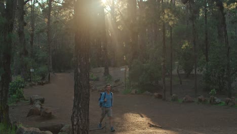 Excursionista-Masculino-Caminando-En-El-Bosque