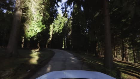View-of-a-car-driving-through-a-forest