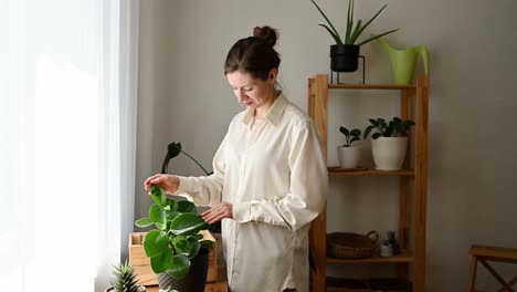 Smiling-woman-caring-for-Peperomia-obtusifolia-plant-at-home