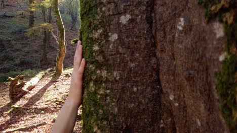 Woman-touching-tree-trunk-in-forest