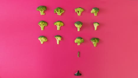 Animation-with-fresh-green-broccoli