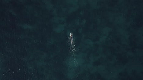 Surfista-Nadando-En-Tabla-De-Surf-En-El-Mar