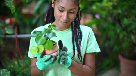 Black-female-gardener-planting-plant-in-greenhouse