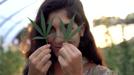 Mujer-De-Cultivo-Con-Hoja-De-Cannabis-En-Invernadero
