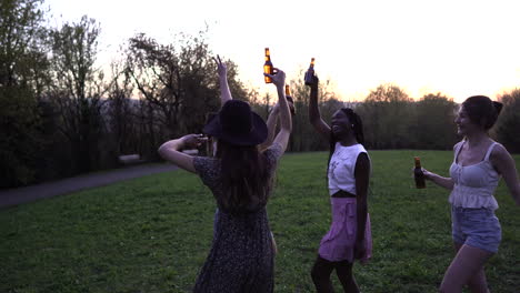 Company-of-multiracial-female-friends-clinking-bottles-in-park-at-sunset