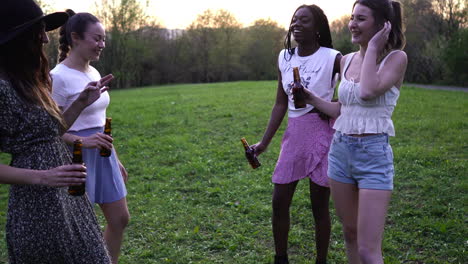 Company-of-multiracial-female-friends-clinking-bottles-in-park-at-sunset