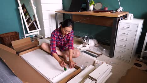 Asian-woman-with-dog-assembling-furniture-alone-at-home