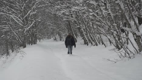 Man-in-warm-wear-walking-on-snowy-footpath-forest