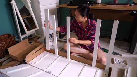 Ethnic-woman-assembling-furniture-in-room-with-dog