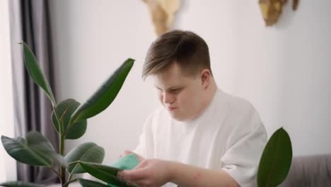 Man-with-down-syndrome-cleaning-houseplants-with-care-at-home