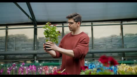 Brown-Sweater-Young-Man-with-Glasses-Examining-Flower-in-Specialized-Plant-Shop