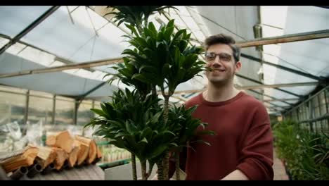 Frische-Pflanzenstoffe:-Junger-Mann-In-Braunem-Pullover-Und-Brille-Untersucht-Große,-üppige-Pflanze-In-Einem-Spezialisierten-Pflanzenladen
