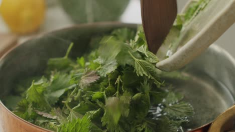 Anonymous-person-adding-herb-leaves-into-boiling-water
