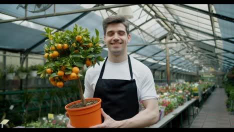 A-young-guy-worker-in-a-specialized-flower-shop-holds-a-pot-with-a-small-tree-of-oranges-in-his-hands.-Green-Living:-Care-Tips