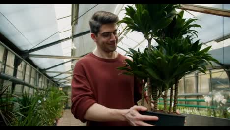 Young-Man-in-Brown-Sweater-and-Glasses-with-Large-Green-Lush-Plant-in-Specialized-Plant-Shop