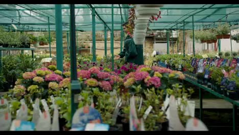 Green-clad-Shop-Workers-Walking-and-Chatting-Along-Floral-Shelves