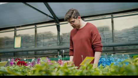 Brauner-Pullover-Junger-Mann-Mit-Brille-Wählt-Topfpflanzen-Im-Blumenladen-Aus