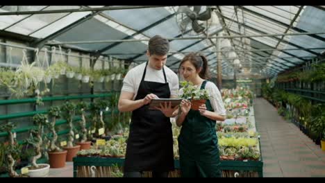 Flower-Shop-Analysis:-Teamwork-and-Technology-for-Retail-Success.-Shooting-in-full-length
