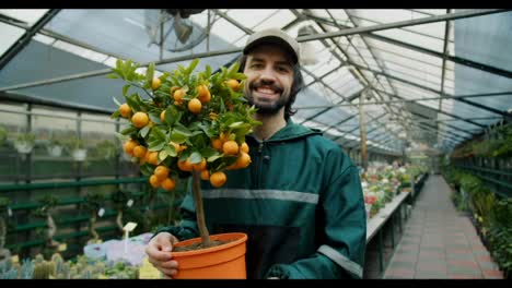 El-Horticultor-Feliz:-Exhibiendo-Tesoros-Botánicos-En-La-Tienda-De-Plantas.