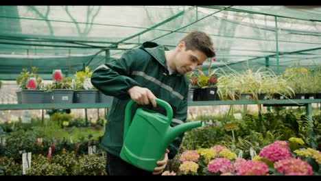 Green-Uniformed-Man-Nurturing-Blooms-in-a-Specialized-Flower-Shop