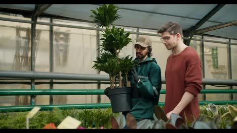 Greenery-Guidance:-Expert-Advice-for-Plant-Care-and-Shopping.-Expert-A-gardener-in-a-specialized-uniform-and-a-young-guy-in-a-brown-sweater-are-walking-through-a-specialized-flower-shop