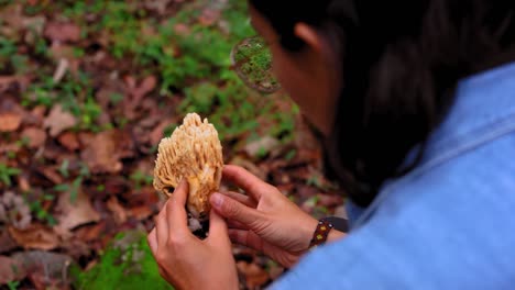 Aonymous-woman-with-edible-mushroom-in-hands-in-forest