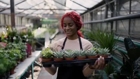 Lovely-multiethnic-worker-holding-row-of-young-succulents