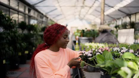 Una-Joven-Afroamericana-Inspeccionando-Plantas-En-El-Estante-Del-Invernadero