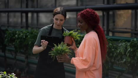 Mujer-Florista-Con-Tableta-Ayudando-A-Una-Clienta-A-Elegir-Plantas-En-Una-Floristería