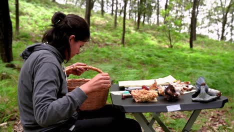 Woman-putting-mushroom-on-table-in-forest-with-tent