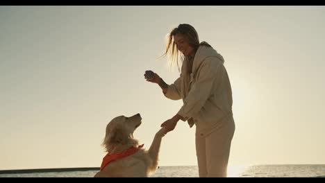 A-young-blonde-girl-teaches-her-big-dog-light-coloring-new-commands-and-have-fun-with-her-on-the-beach-in-the-morning