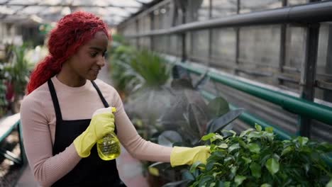 Young-indian-woman-watering-plants-in-a-greenhouse-with-spraying-bottle