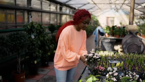 Lovely-african-american-woman-choosing-plants-on-the-rack-in-the-greenhouse