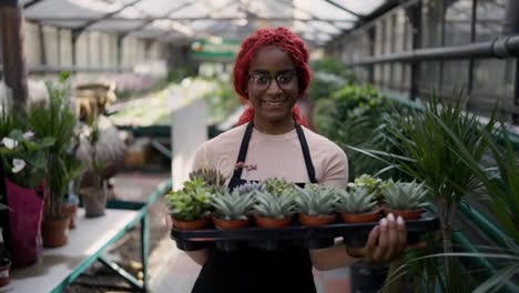 Portrait-of-multiethnic-worker-holding-row-of-young-succulents,-looking-to-the-camera