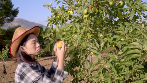 Upset-Asian-farmer-with-apple-bitten-by-worms-in-countryside
