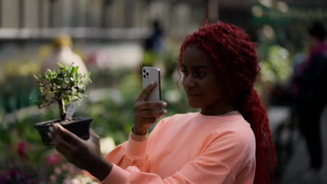 African-american-woman-holding-houseplants-in-greenhouse-garden-and-taking-photo-of-it