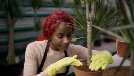 Botánica-Femenina-Trabajando-En-Una-Pequeña-Tienda,-Cuidando-Plantas