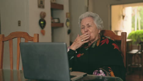 Aged-woman-talking-with-relatives-at-laptop