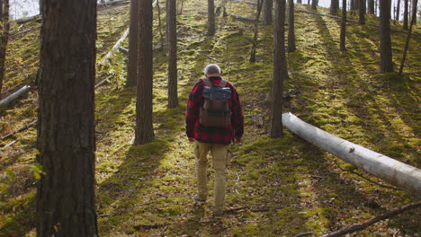 lonely-man-is-walking-in-woodland-at-autumn-day-carrying-backpack-back-view-lost-in-forest-danger-and-extreme