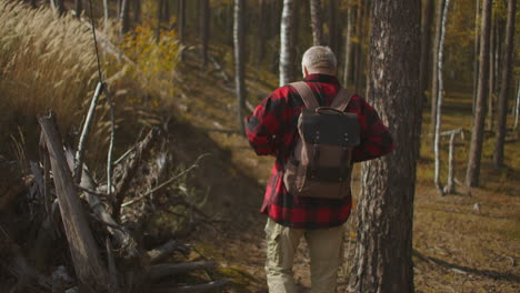 backpacker-is-walking-in-forest-alone-adult-man-is-dressed-red-plaid-shirt-is-travelling-by-woodland-at-autumn