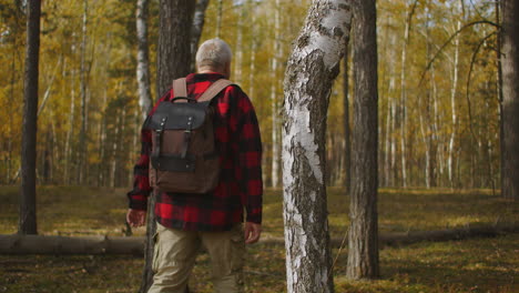 mushroom-picker-is-walking-alone-in-woodland-carrying-backpack-middle-aged-man-is-dressed-plaid-red-shirt