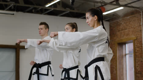 Three-martial-artists-practising-indoors