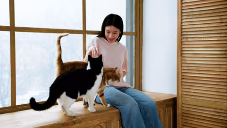 Woman-with-cats-by-the-window