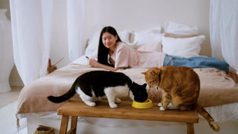 Mujer-Alimentando-Gatos