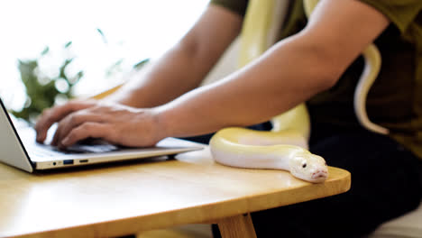 Man-working-with-snake-at-home