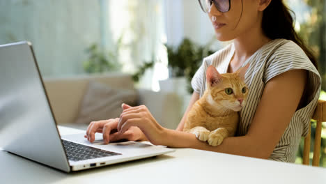 Woman-working-on-laptop-with-cat