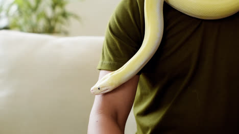 Man-with-snake-at-home
