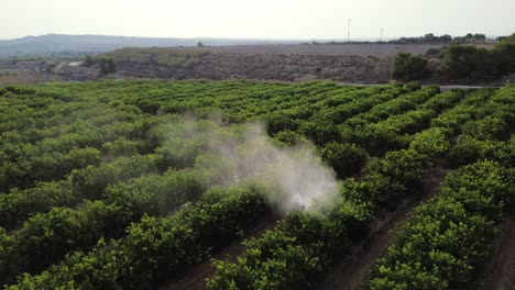 Anonymous-farmer-driving-tractor-spraying-pesticide-on-lemon-trees