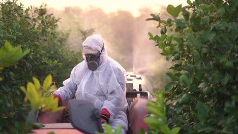 Anonymer-Bauer-Sprüht-Pestizide-Auf-Zitronenbäume,-Während-Er-Mit-Dem-Traktor-Fährt