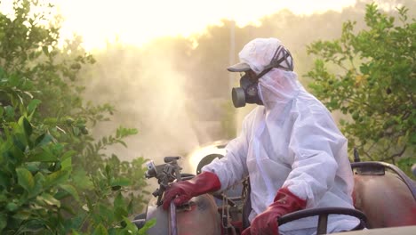 Granjero-Anónimo-Rociando-Pesticidas-En-Limoneros-Mientras-Viajaba-En-Un-Tractor